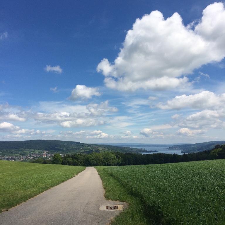B&B Stein Am Rhein Esterno foto